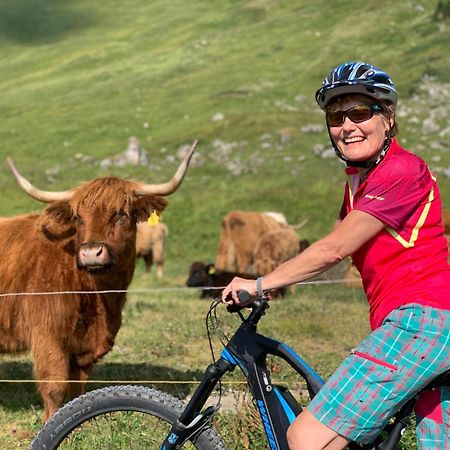 Chalet Montriond - Bike & Ski Les Crosets Extérieur photo