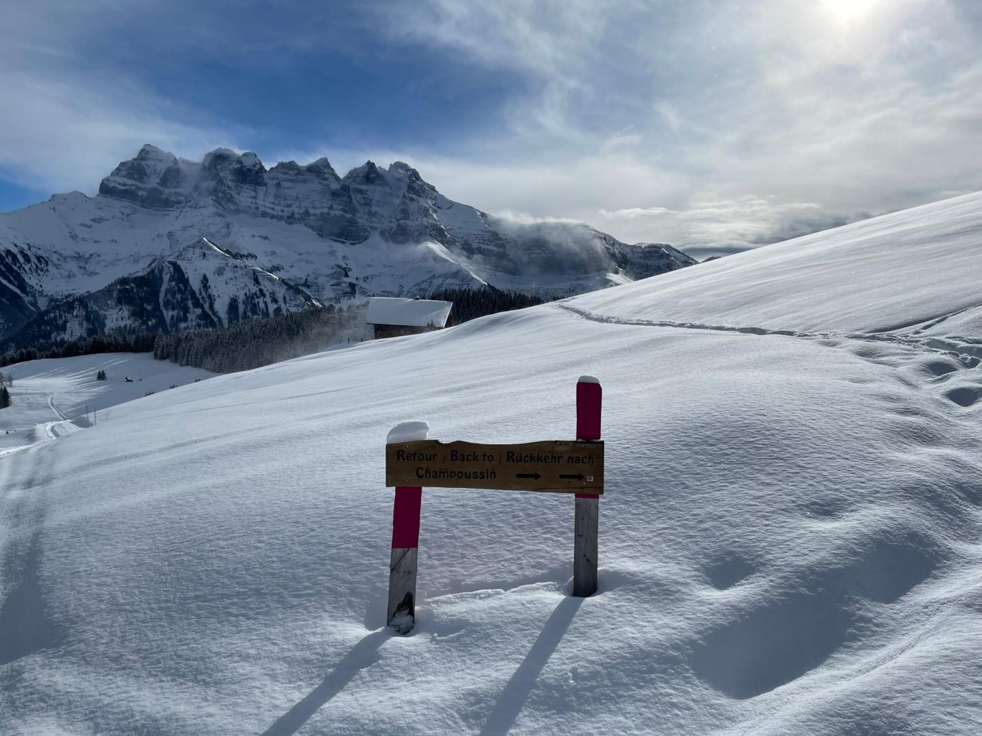 Chalet Montriond - Bike & Ski Les Crosets Extérieur photo