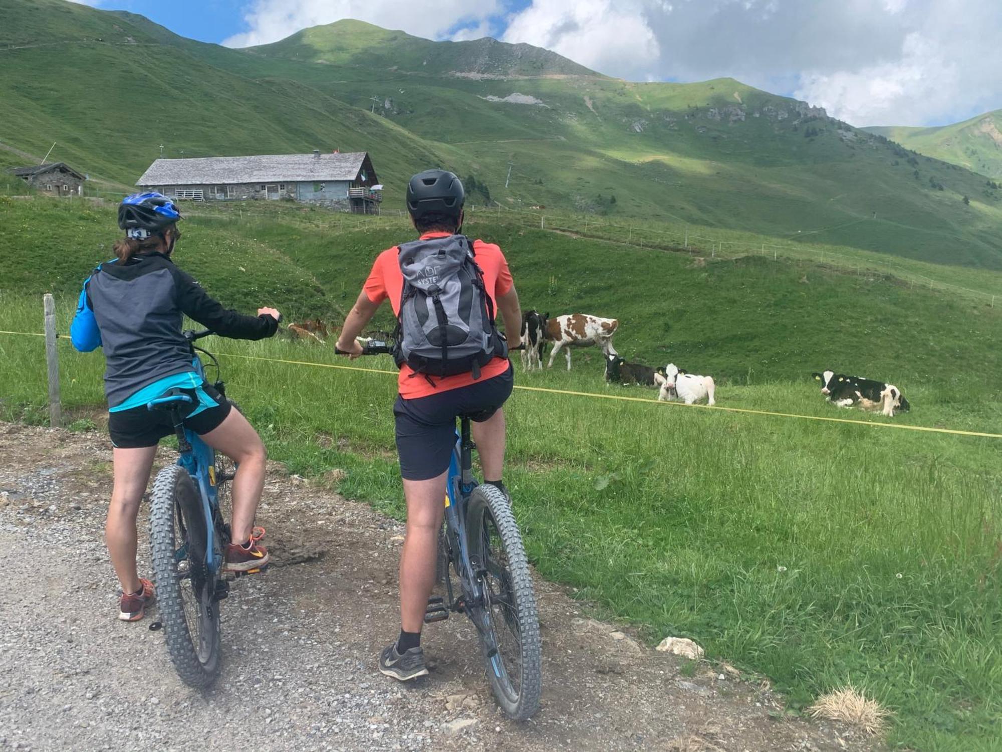 Chalet Montriond - Bike & Ski Les Crosets Extérieur photo