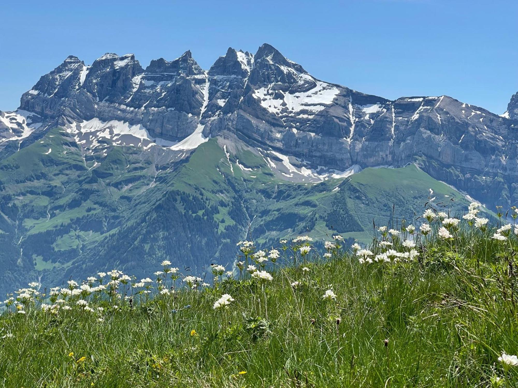 Chalet Montriond - Bike & Ski Les Crosets Extérieur photo